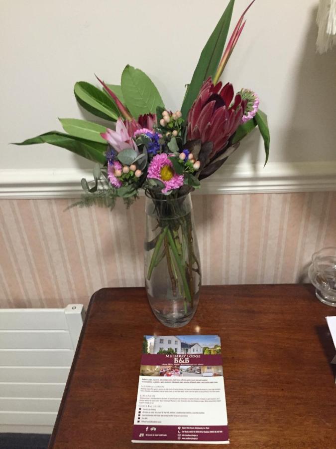 Mulberry Lodge Guest House Ballyhaunis Bagian luar foto