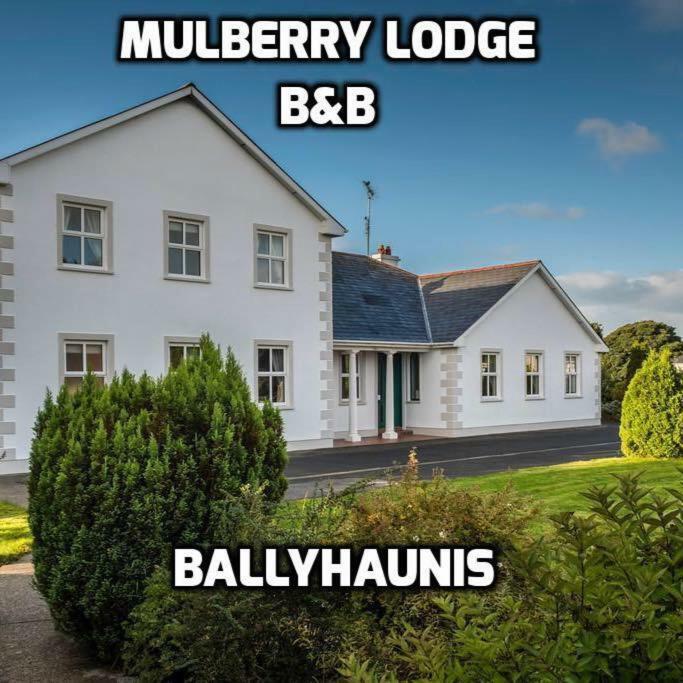 Mulberry Lodge Guest House Ballyhaunis Bagian luar foto